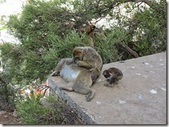 IMG_3655