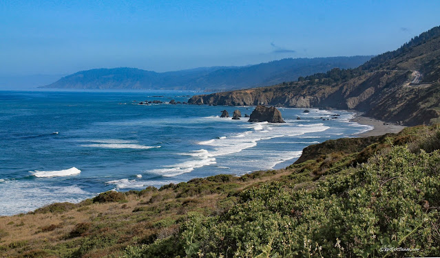 California northern coast geology travel trip roadtrip Humboldt Redwoods copyright RocDocTravel.com