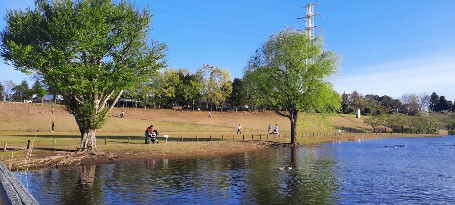 Science Expo Memorial Park, Taman Luas di Selatan Tsukuba