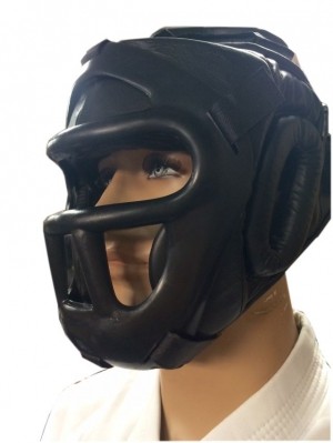 Head gear in leather with face cage