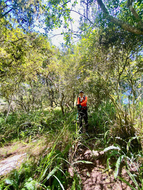 西南稜往綠水文山方向下山