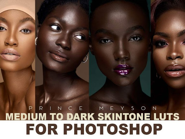 Prince Meyson – Skin Tone LUTs For Photoshop free download