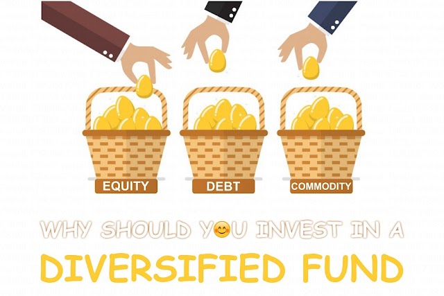 WHY SHOULD YOU INVEST IN A DIVERSIFIED FUND?