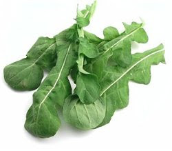 Arugula