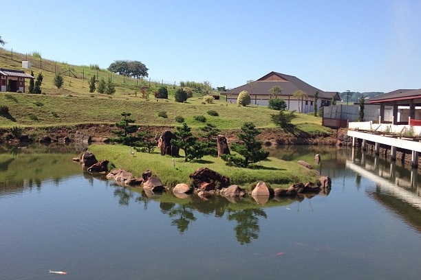 pinheiro negro do jardim japonês em Maringá