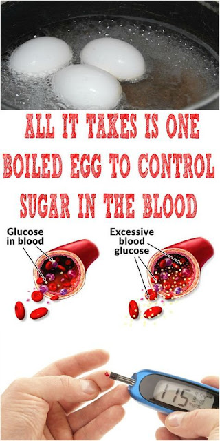 ALL IT TAKES IS ONE BOILED EGG TO CONTROL SUGAR IN THE BLOOD