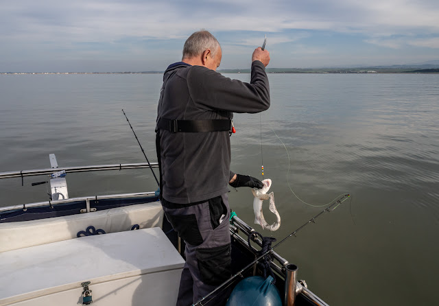 Photo of Phil landing a dogfish