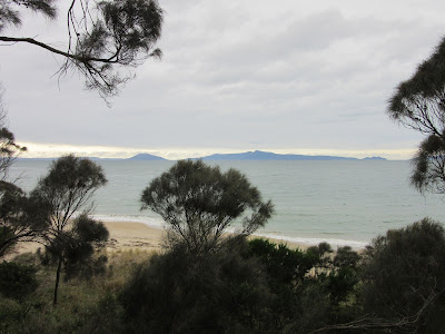 Vistas de la playa y península de Freycinet desde los alrededores de Swansea, en Tasmania