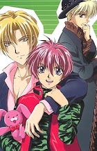 Gravitation - Fandublado - Resumo