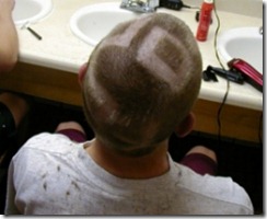 Kendall Shaved 12