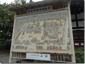 DSC09923