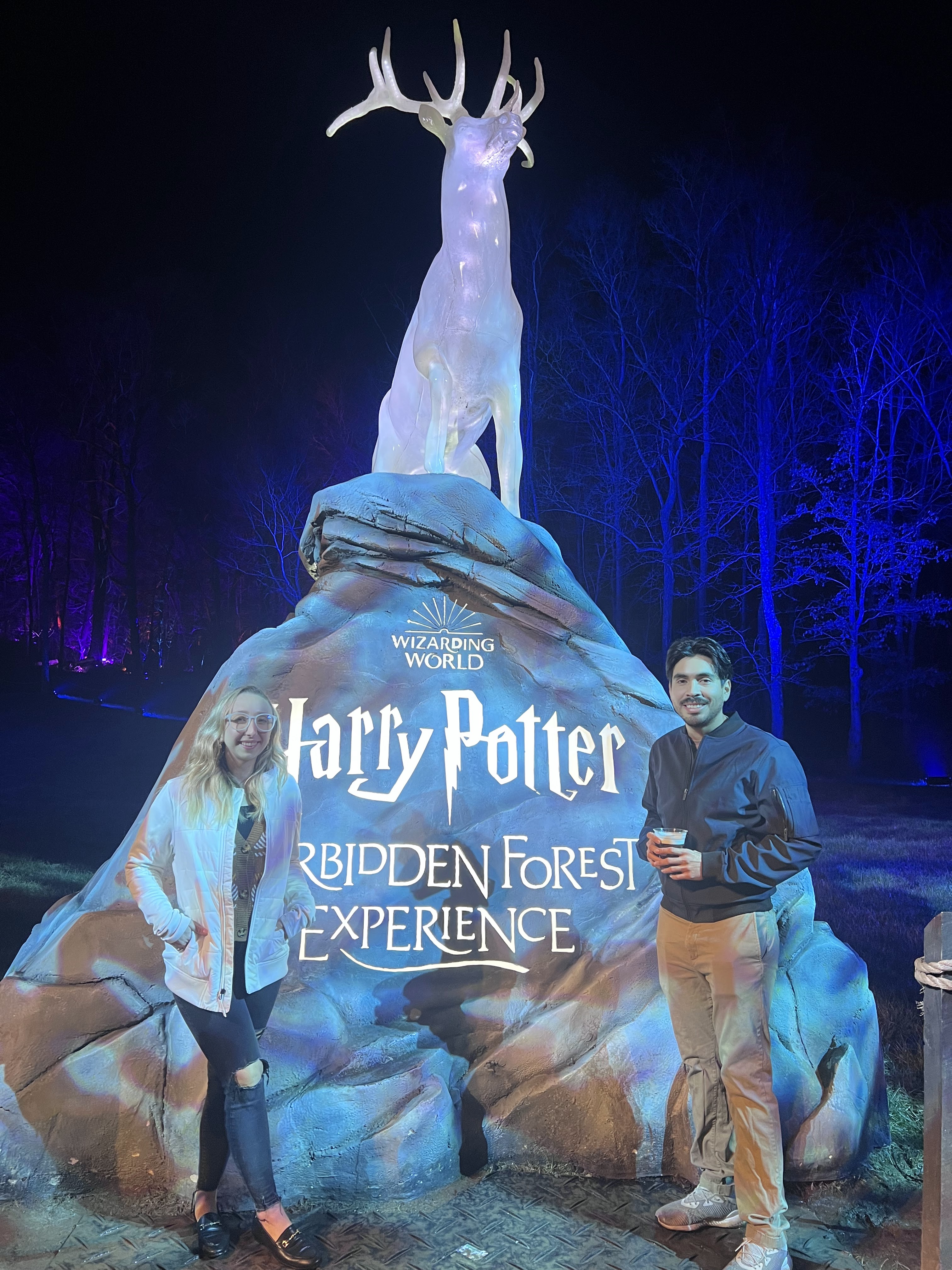 Harry Potter and the Forbidden Forest Experiennce