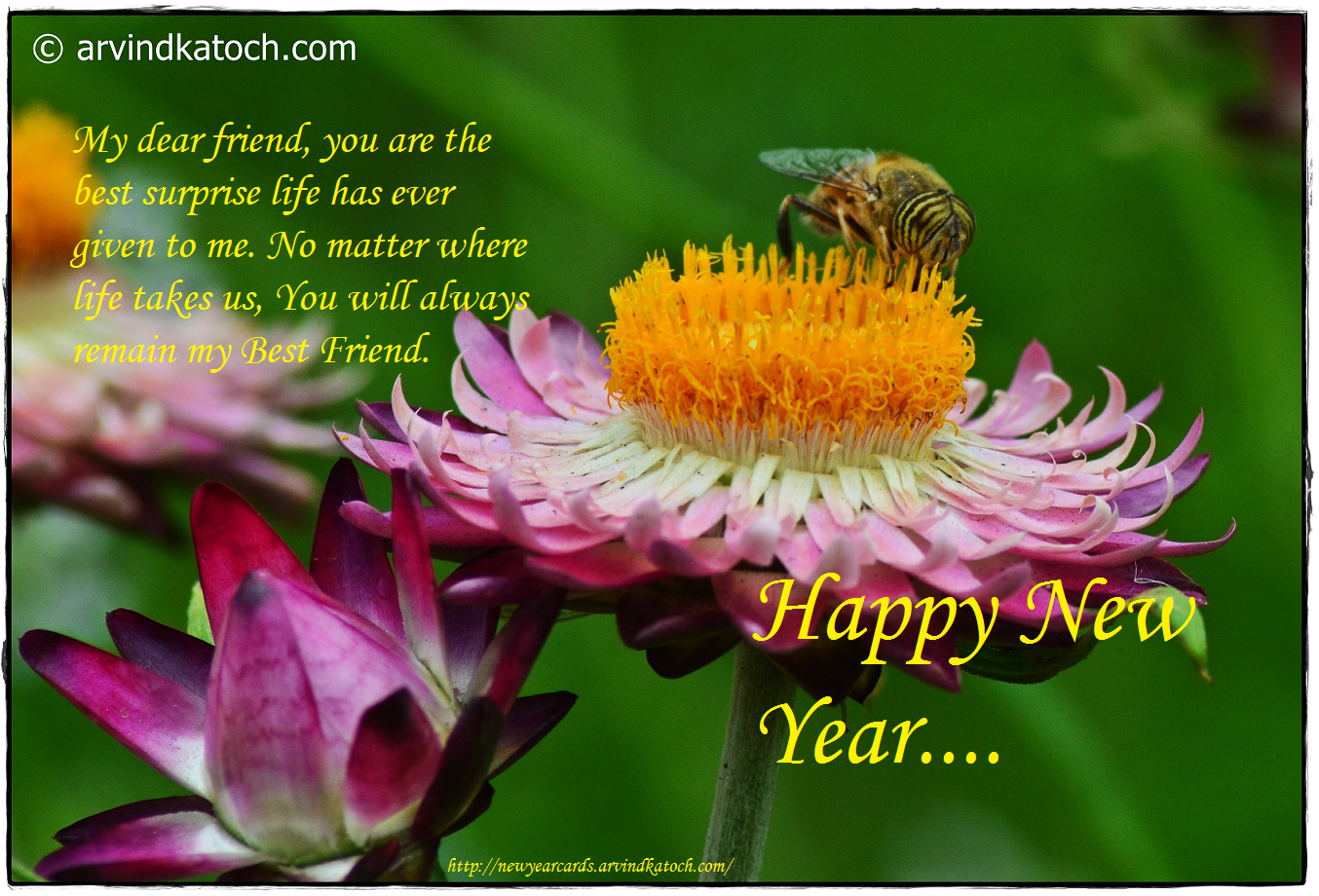 HD True Pic New Year Cards 2021: 12/10/15