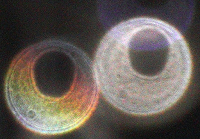 colorful orbs with oval hole