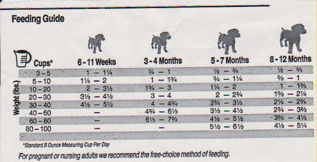 Dog Feeding Chart7