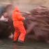Video e pabesueshme - Eksplodimi i balenës!