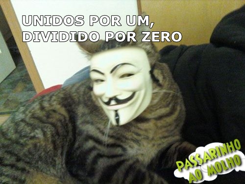 gato com a máscara da anonymous, anonymous, passarinho ao molho, máscara