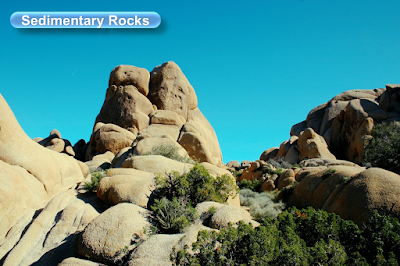 https://naturealscience.blogspot.com/2020/02/classification-of-sedimentary-rocks.html