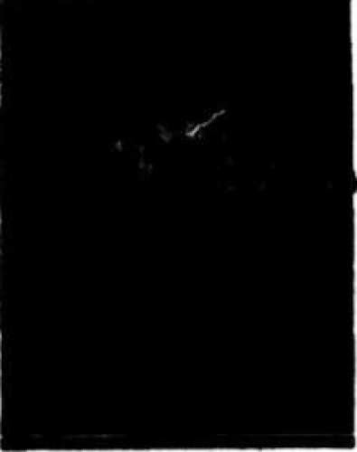 Is This Australias Earliest Ufo Photograph