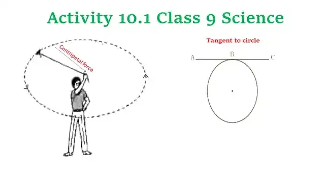 Activity 10.1 Class 9 Science Chapter 10 Gravitation