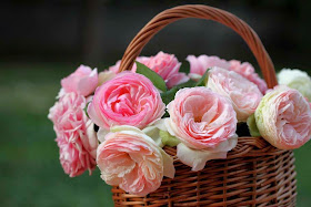 roses-basket-flower-pic