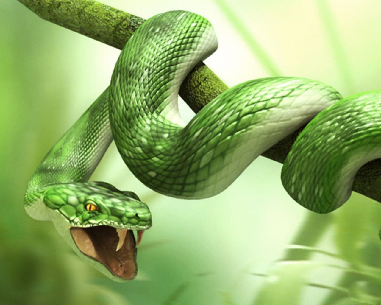 unusual wallpaper: Snake HD Wallpapers