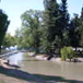 View album