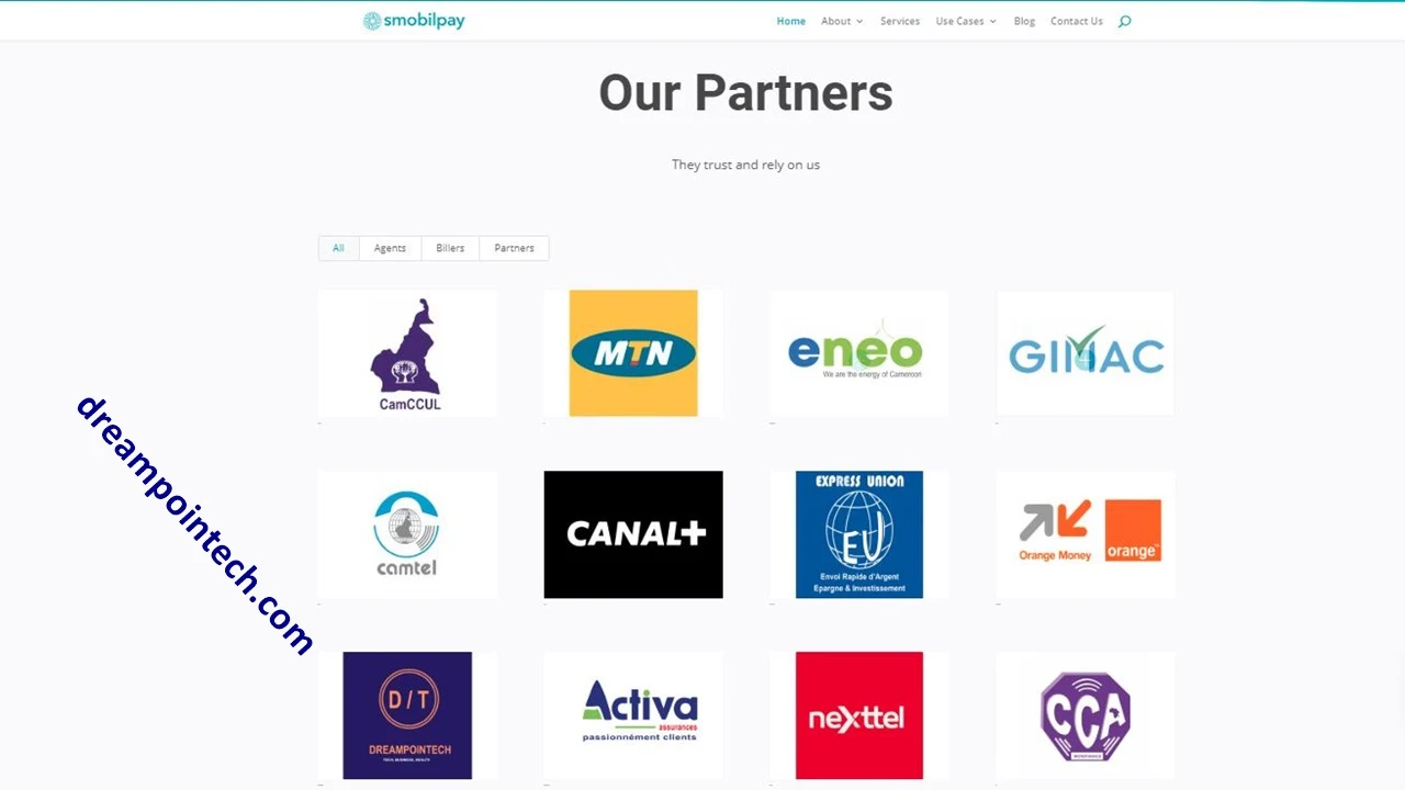 All Partners of Maviance Including Dreampointech, the elite team of top mobile operators in Cameroon (such as MTN, Orange, Nexttel, Yoomee and Camtel Cameroon), Express Union, CamCCUL, Activa, Canal +, GIMAC and other entities