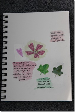 ode to nature 019
