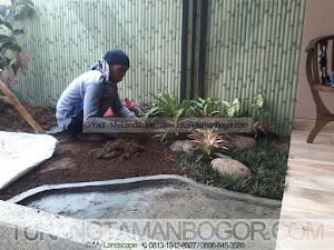 Tukang Taman Cibinong Murah Dan Profesional - Proses Pembuatan Taman Minimalis Halaman Rumah