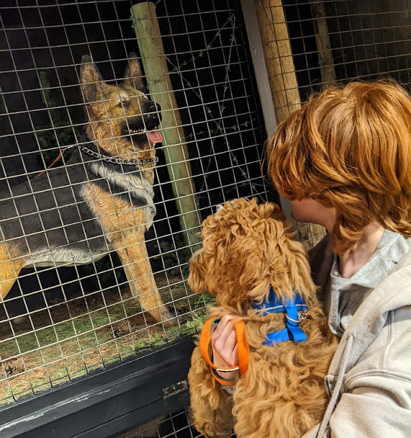 Indoor Dog Friendly Attractions - Eden Camp