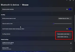 Langkah-langkah Mengubah Arah Gulir Mouse di Windows 11