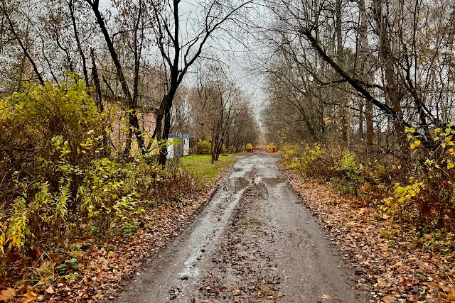 Лосиный остров, тропинка, железная дорога, Яузская аллея