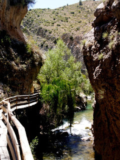 A wooden walkway through the gorge of the Castril river