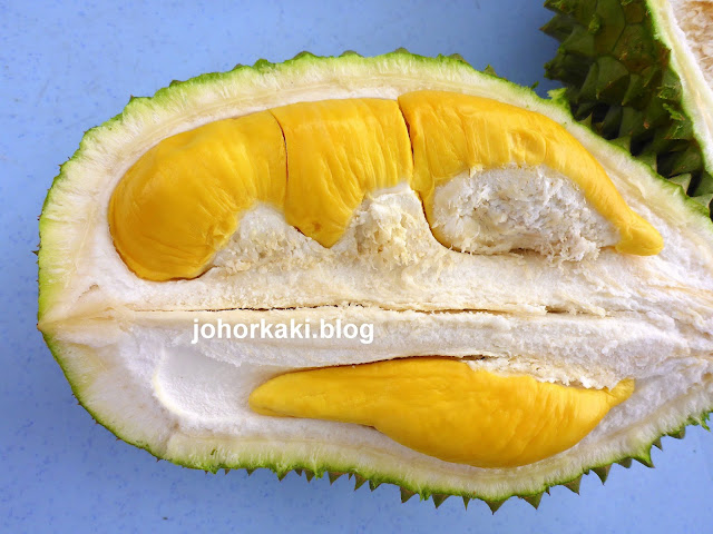 Durian-Hunting-Johor-Bahru-Malaysia