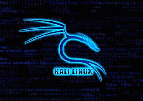 HOW TO INSTALL KALI-LINUX ON ANDROID