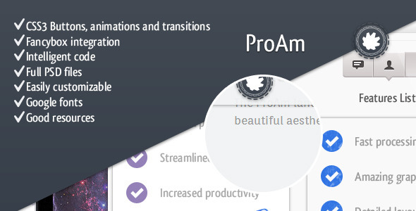 ProAm - Premium Landing Page - Creative Landing Pages