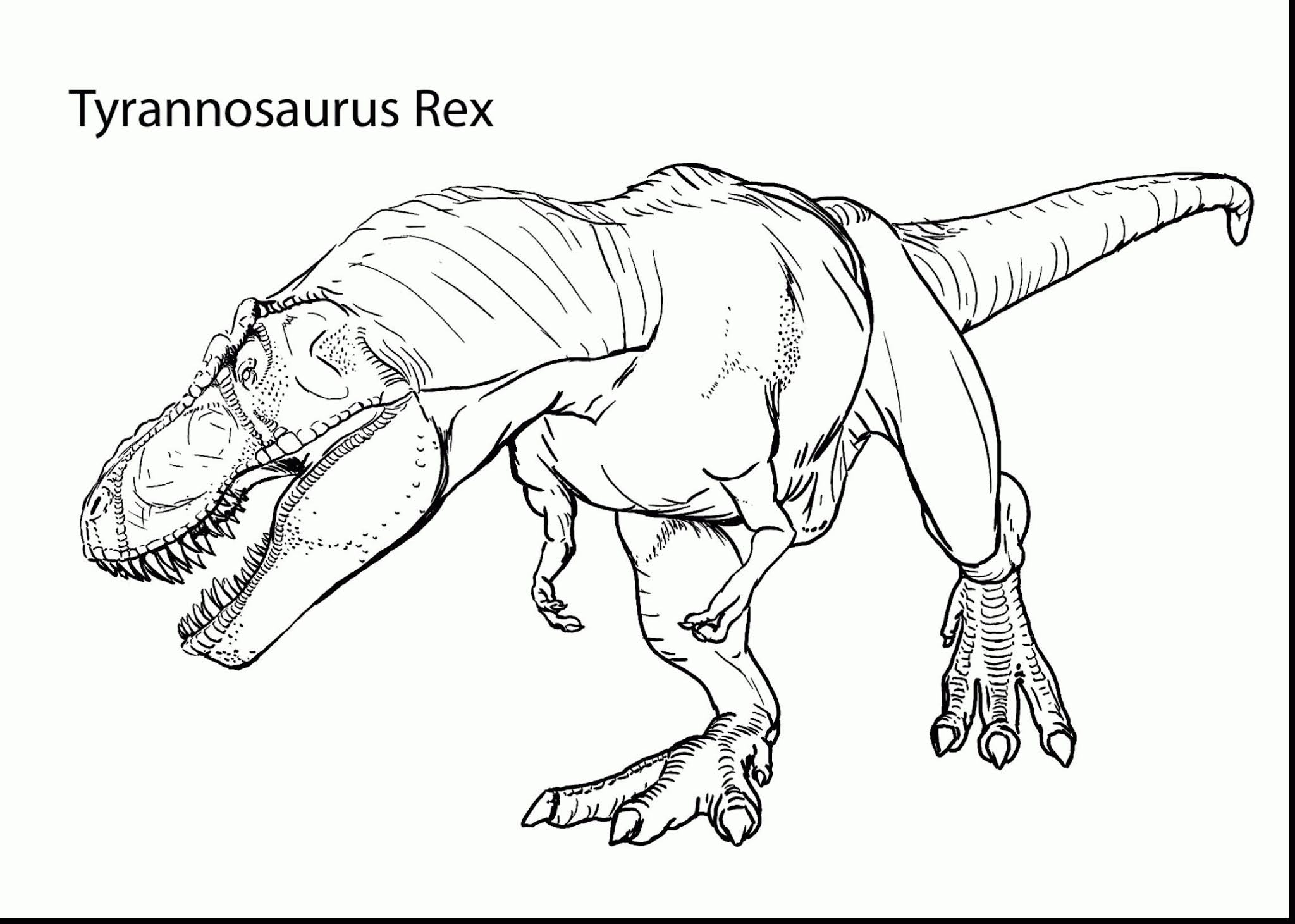 Tyrannosaurus Rex Coloring Beautiful