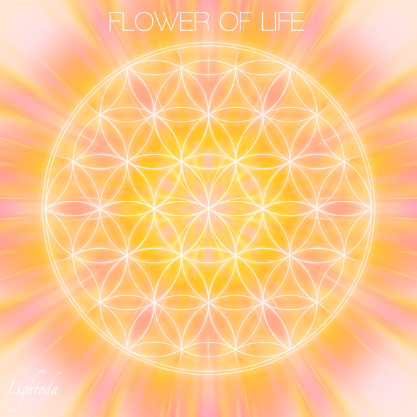 オリジナル Flower Of Life 意味 ガルカヨメ