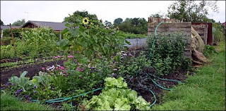 allotments