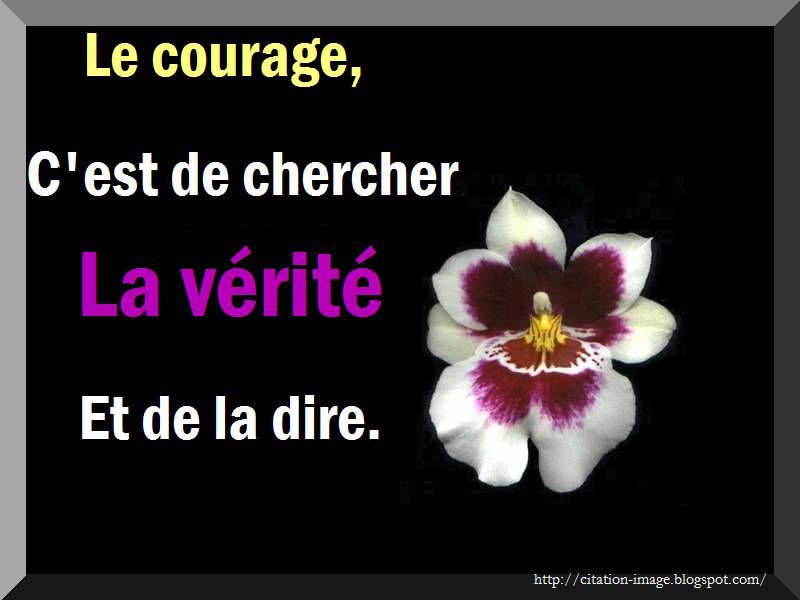 citation en image sur : courage , Image proverbe vie , vÃ©ritÃ©