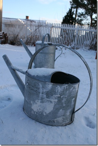 bloggebilder 050