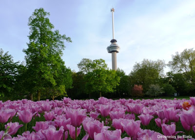 Dicas de roteiro por Rotterdam - Euromast e Het Park