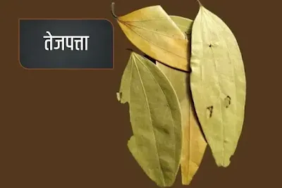 bay leaf aromatic spice leaf name in Hindi