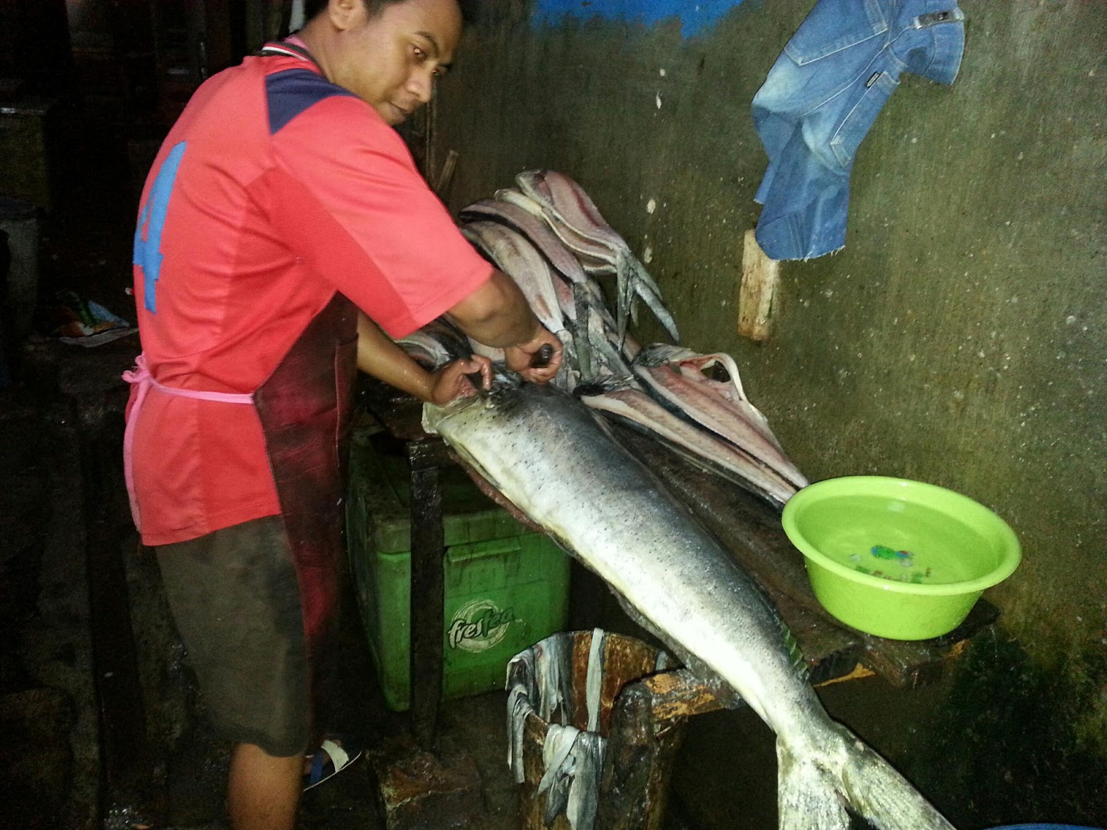  ikan  segar malang  Fillet aneka macam ikan  segar