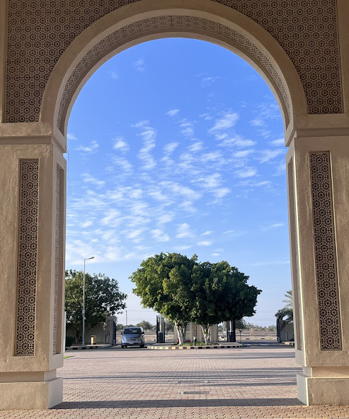 صورة