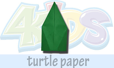  turtle paper 5