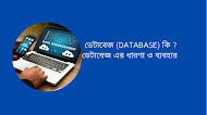 ডেটাবেজ (Database) কি ? ডেটাবেজ এর ধারণা ও ব্যবহার