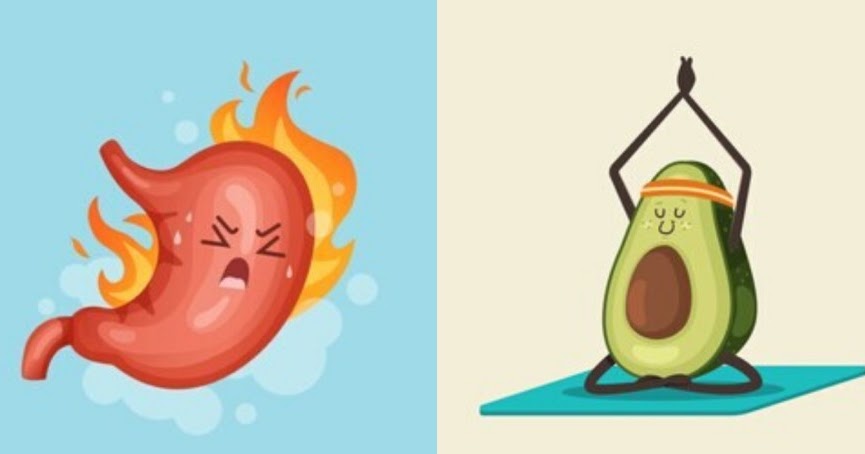 Is Avocado Good or Bad for Acid Reflux? ~ Know World Now