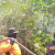 Api Karhutla Kembali Menyala, Polisi Dan Stakeholder Upayakan Pemadaman Di TR 12 Dusun Sidomulyo